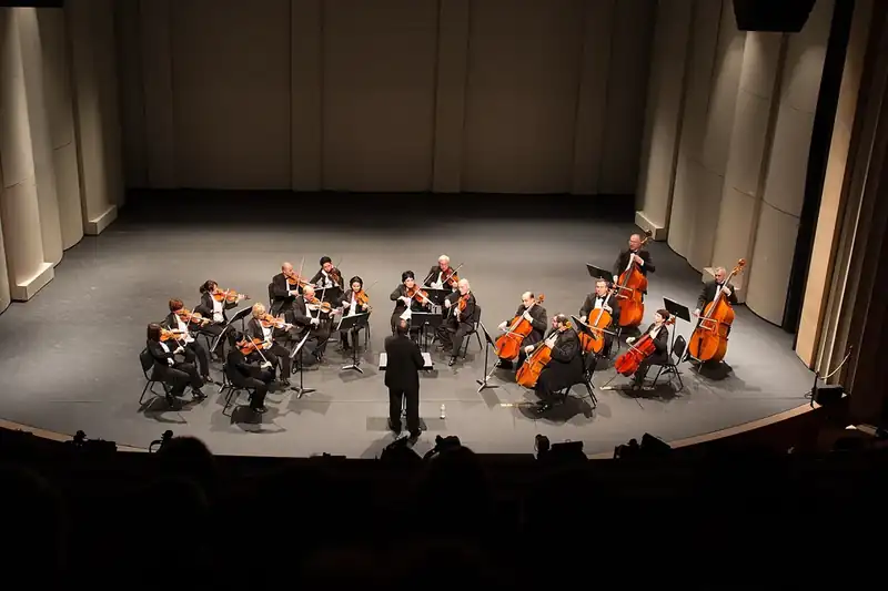 Instrumental Music